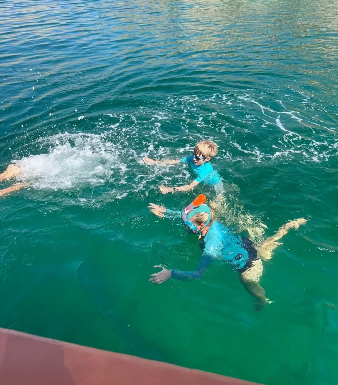 Same-day round-trip from Dubai to Oman for dolphin watching, with snorkeling options. Drinks and fruits are provided on board.