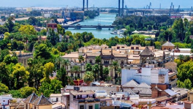 Seville City Center - Royal Alcazar - Cathedral - Bullring - Torre del Oro - Private Charter - Top Pick