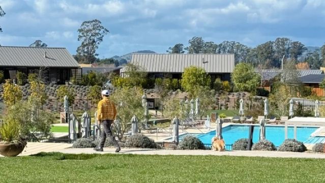 美國三藩市來回納帕谷 NAPA -經典酒莊品酒包車-精選