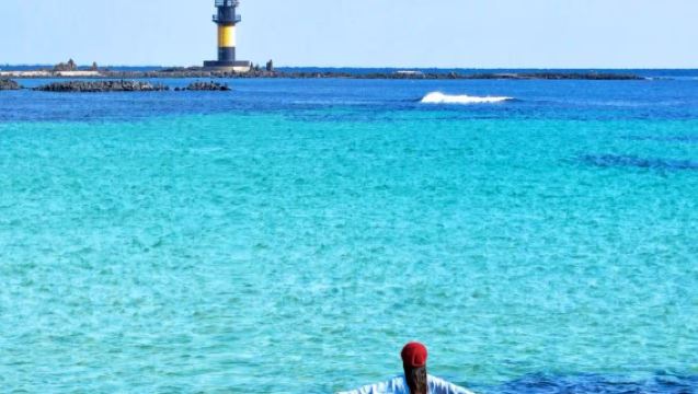 漢拿山+山茶花之丘+泰迪熊博物館+挾才海水一日遊【包車】