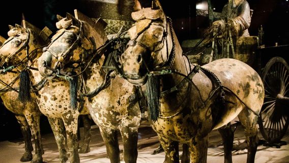 精品小團人員導覽