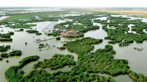 寧夏銀川·沙湖生態旅遊區一日遊(塞上江南)
