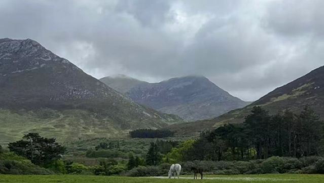 愛爾蘭都柏林城堡-愛爾蘭國家博物館【愛爾蘭全境包車】