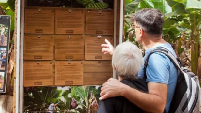 Tenerife: Finca Las Margaritas Banana Plantation Experience