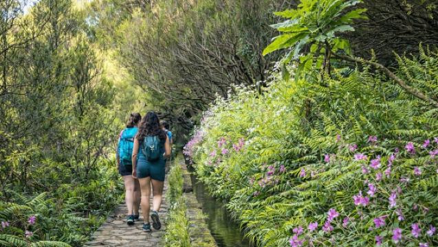 Paseos en Pequeños Grupos por Rabaçal y las 25 Fuentes