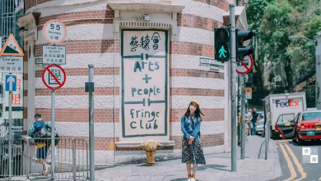 Hong Kong Macau Alphard Private Charter