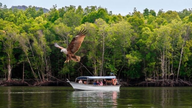 Langkawi Kilim Geoforest Park Mangrove Boat Tour 3-Hour Shared Cruise