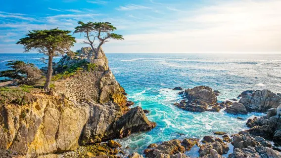CA-1 | 17-mile drive coastal highlights check in 1-day tour