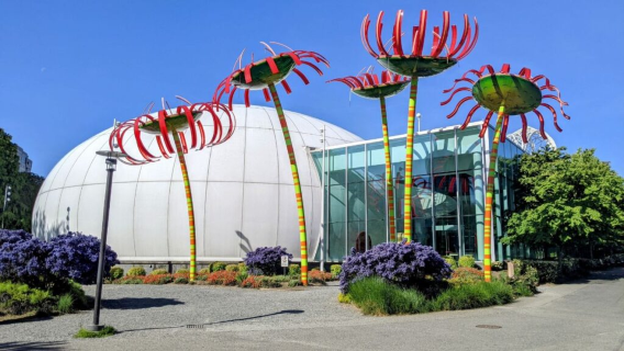 Chihuly garden and glass + Gas works park + University of Washington + Bruce Lee and Brandon Lee grave sites one-day private chartered tour