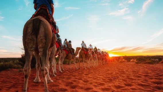 Uluru camel ride experience in Australia's Northern Territory [optional sunrise/sunset/daytime time slots | hotel transfers + professional English-speaking guide]