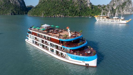 Cycad Indokina Krydstogt | Ha Long & Bai Tu Long-bugten med Kajaksejlads & Transfer fra Hanoi