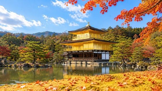 Kyoto og Nara 1-dags bus tur fra Osaka eller Kyoto