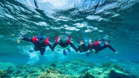 Esperienza di snorkeling a Rottnest Island inclusa attrezzatura + guida snorkeling