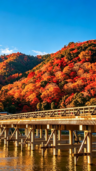 [Osaka/Kyoto pick-up and drop-off] Kyoto Nara 1-day tour | Arashiyama & Nara & Fushimi Inari Taisha
