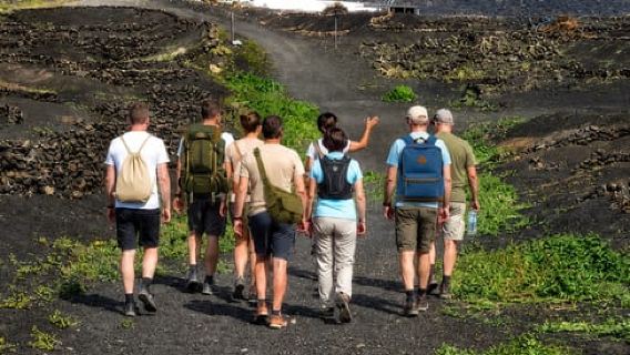 Lanzarote: La Geria Trek with Winery Visit and Wine Tasting