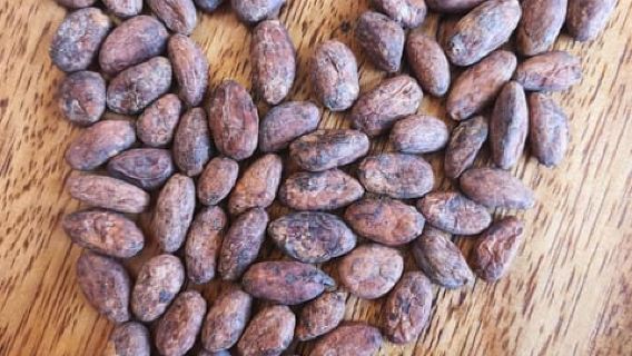 Cusco: "Bean to Bar" Chocolate Experience