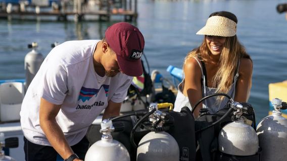 Diving Santa Marta & Tayrona for Certified Divers (2 tanks)