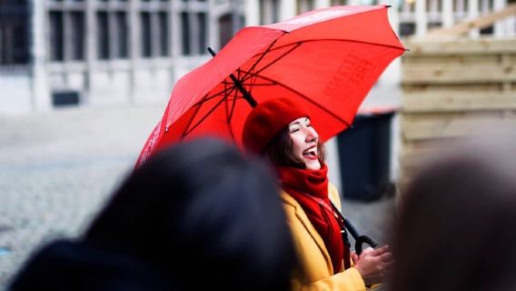 Privat tur: Historia och Höjdpunkter av Antwerpen