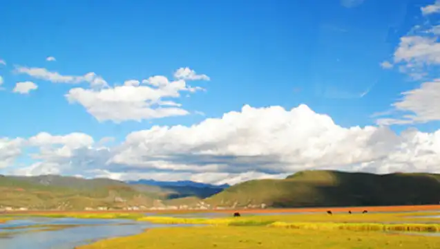 虎跳峽+香格里拉一日遊【經幡+環納帕海+回程高速+不推騎馬】