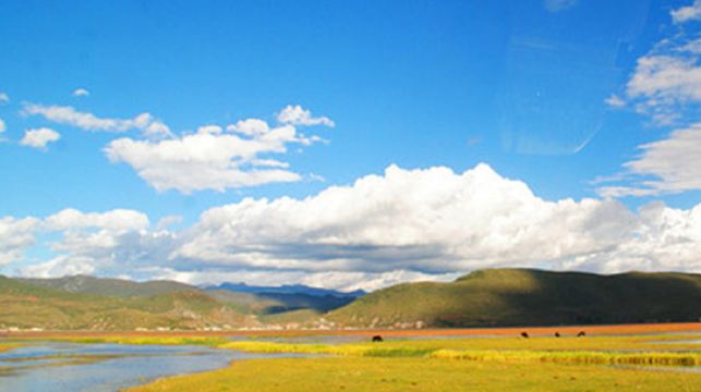 虎跳峽+香格里拉一日遊【經幡+不推騎馬+環納帕海+回程高速】