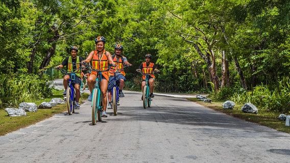 CozumelTours