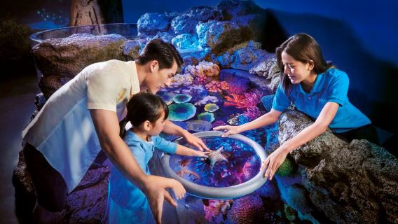 ตั๋วเข้า ซีไลฟ์ แบงค็อก โอเชียน เวิลด์ พิพิธภัณฑ์สัตว์น้ำ