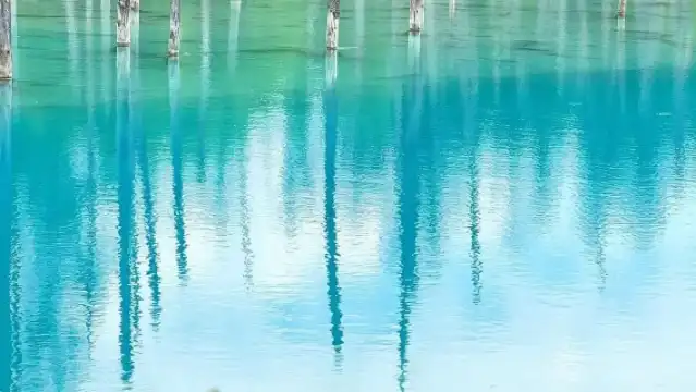 日本北海道美瑛町青池+四季彩之丘+富田農場一日遊【札幌出發】