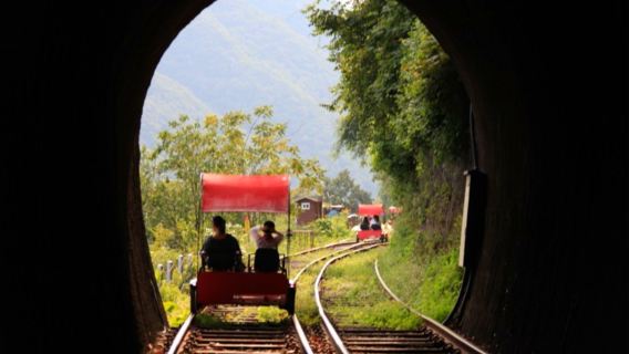 Gyeonggi Province|Gangchon Rail Park X Petite France & Italian Village X Nami Island