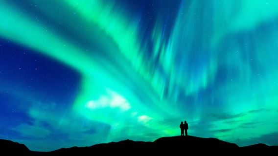 Finland Rovaniemi Northern Lights Hunt: Economy Bus Tour/Comfort Small Group/Photography Tour with Photos