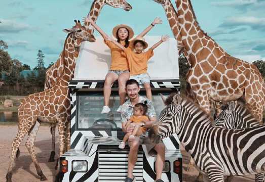 [Private Car Tour] Kanchanaburi Zoo + River Kwai Bridge + Death Railway Day Trip, Worry-Free Choice