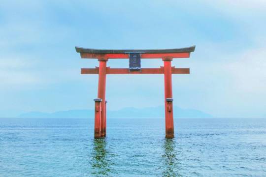 Japan Shirasu Shrine + Lake Biwa + Miho Museum + Old Bamboo Forest Garden One-day Tour