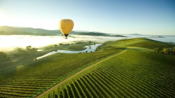 Yarra Valley & Dandenongs Ranges 60-minute hot air balloon ride experience with certificate + flight photos (optional transfer + champagne breakfast)