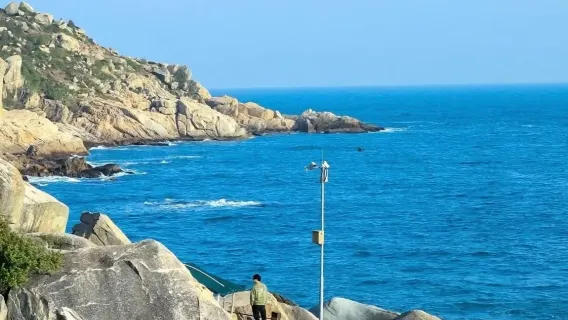 Passeio de um dia em Huizhou: Baía de Shuangyue + Baía das Tartarugas Marinhas + Baía de Xunliao + Ponto de Heipai [Rota premium • Traslado de porta em porta]