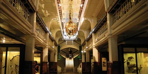 曼徹斯特博物館+曼聯足球俱樂部+伯明翰博物館和美術館