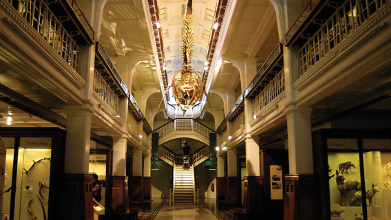 Manchester Museum + Manchester United + Birmingham Museum & Art Gallery