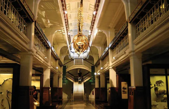 曼徹斯特博物館+曼聯足球俱樂部+伯明翰博物館和美術館