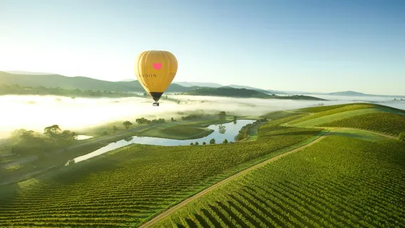 Chuyến bay khinh khí cầu 60 phút trên Thung lũng Yarra ở Melbourne, Victoria [Ngắm bình minh/Ăn sáng tại khách sạn/Chụp ảnh miễn phí/Xe đưa đón trong thành phố/Tham quan nhà máy rượu]