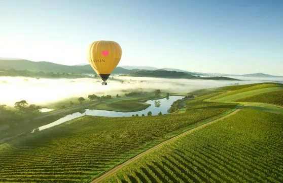 墨爾本維多利亞市區亞拉河谷60分鐘熱氣球飛行【日出/星級酒店早餐/免費照片/市區接送/葡萄酒莊】