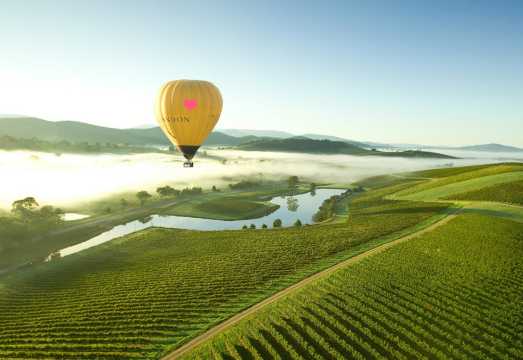 60-Minute Hot Air Balloon Ride in Melbourne's Yarra Valley with Sunrise, Hotel Breakfast, Free Photos, City Transfers & Winery Visit AUD 405.34