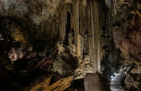 內爾哈洞穴：入場門票