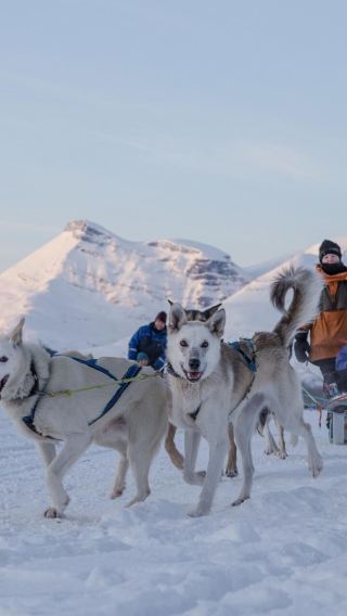 Tromso · Dog sledding 4–5 hrs (multi-package optional)