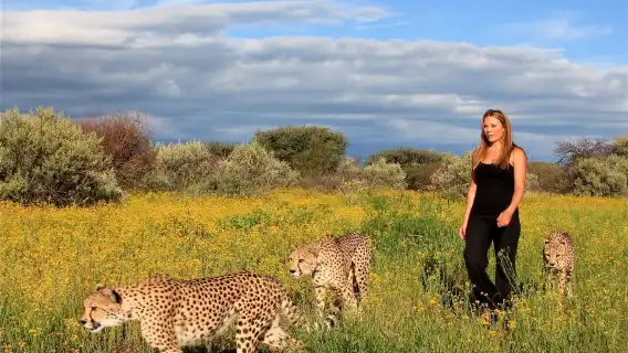 เปิดโปงเบื้องหลังนาเมเบีย นาอันคูเซ่ | บริการรับส่งที่วินด์ฮุก | ประสบการณ์ช่วยเหลือสัตว์ป่า