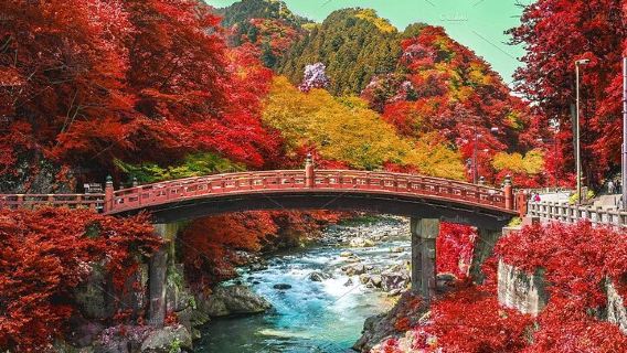 TokamachiTours