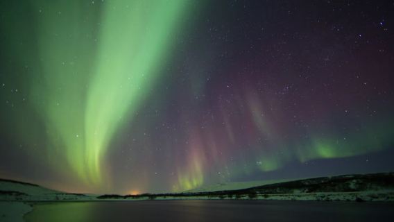 ReykjavikTours