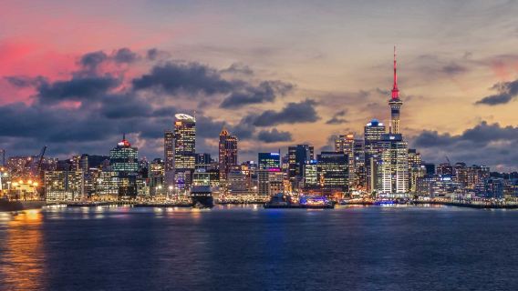 Auckland Art Gallery + Sky Tower Walk + Central Park | Customizable Itinerary | New Zealand Premium Tour
