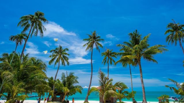 ทัวร์วันเดียว/ทัวร์หลายวัน เกาะเต่า เกาะนางยวน ในประเทศไทย