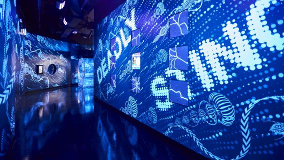 1-day tour to SEA LIFE Melbourne Aquarium in Australia