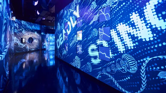 1-day tour to SEA LIFE Melbourne Aquarium in Australia