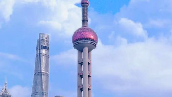 Shanghai Private Day Tour+Oriental Pearl TV Tower+Buffet Lunch+Ocean Aquarium