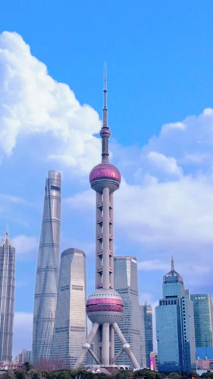 Shanghai Private Day Tour+Oriental Pearl TV Tower+Buffet Lunch+Ocean Aquarium